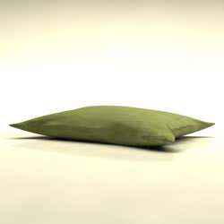 Eye Pad Image