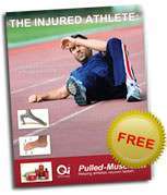 Free Guide
