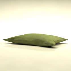 Neck Pillow Image